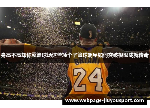 身高不高却称霸篮球场这些矮个子篮球明星如何突破极限成就传奇