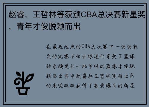 赵睿、王哲林等获颁CBA总决赛新星奖，青年才俊脱颖而出